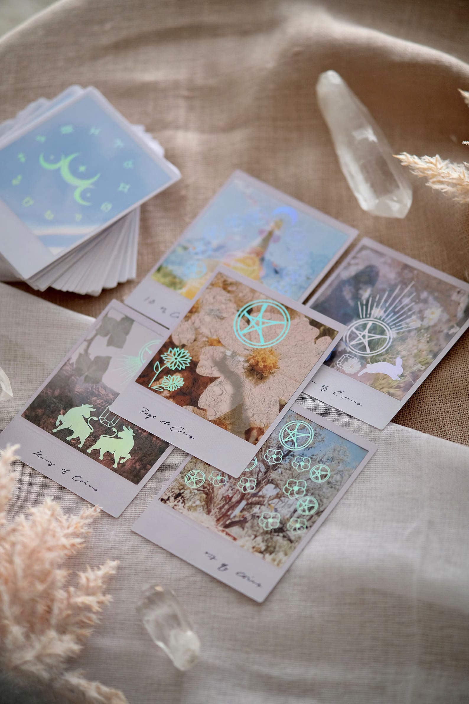 Wild Lands Tarot Deck 
