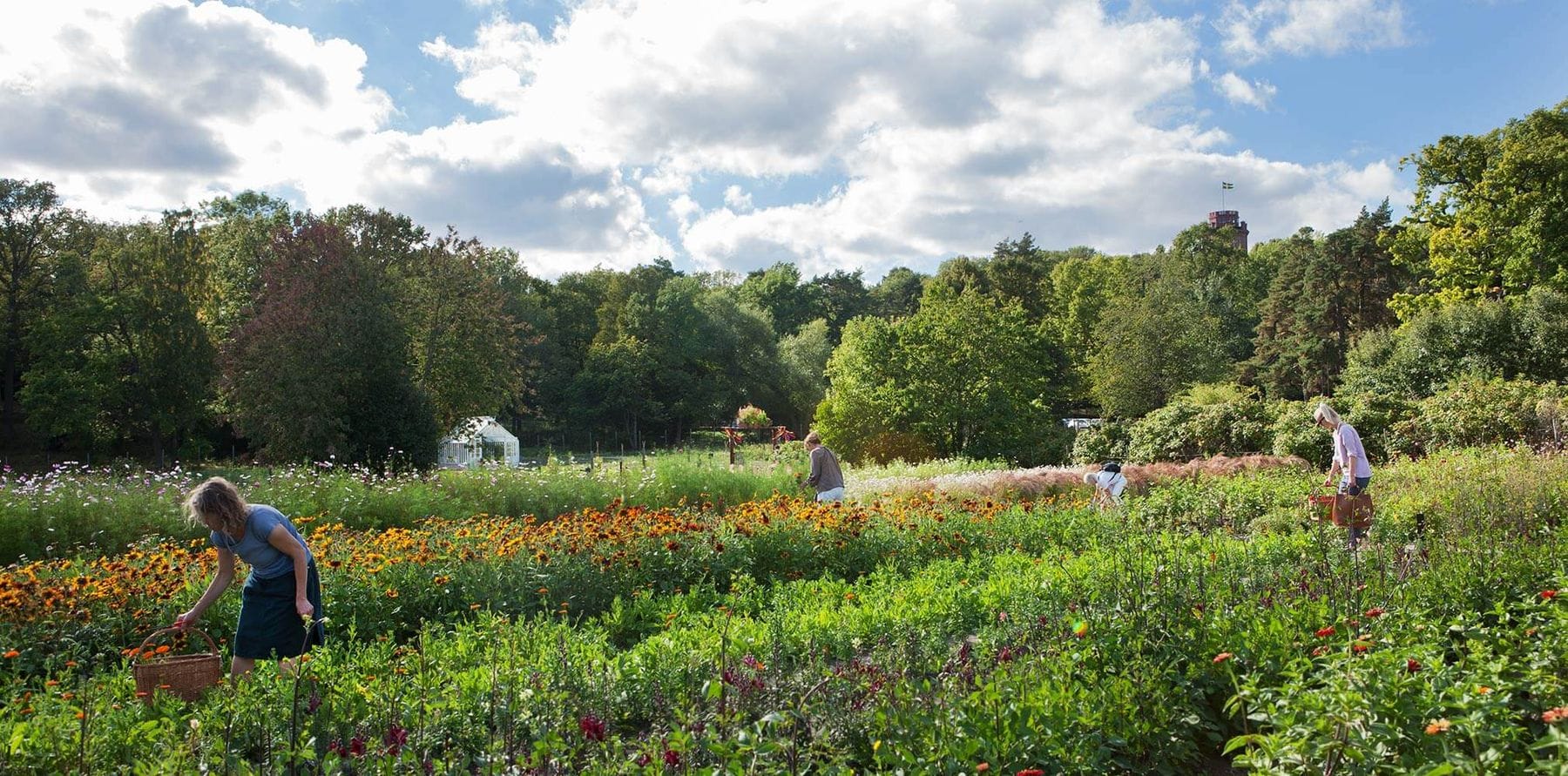 rosendals trädgård