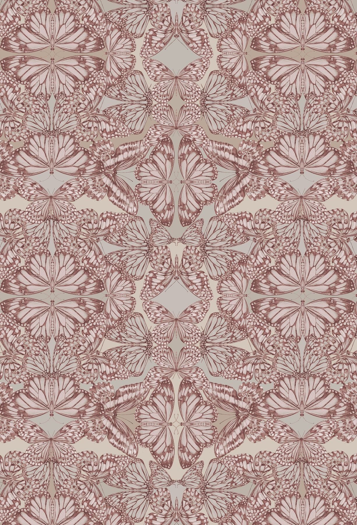 Papilio Rosa Wallpaper