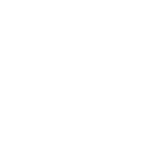 Demon Hunter