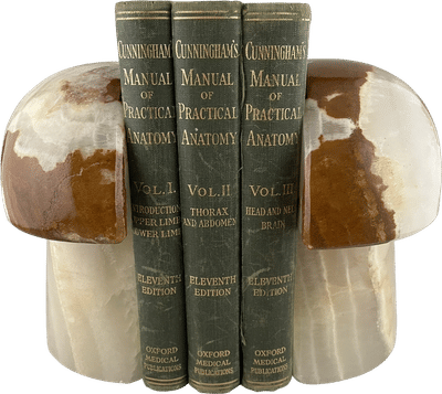 Vintage Stone Mushroom Bookends
