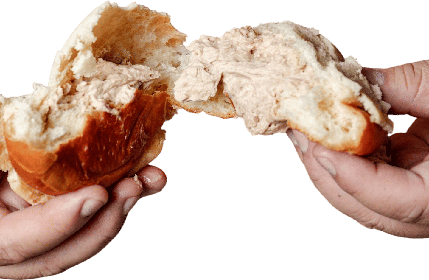 The Santa Canela Concha at Santa Canela (Los Angeles)