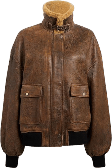 Sandor Leather Bomber Jacket