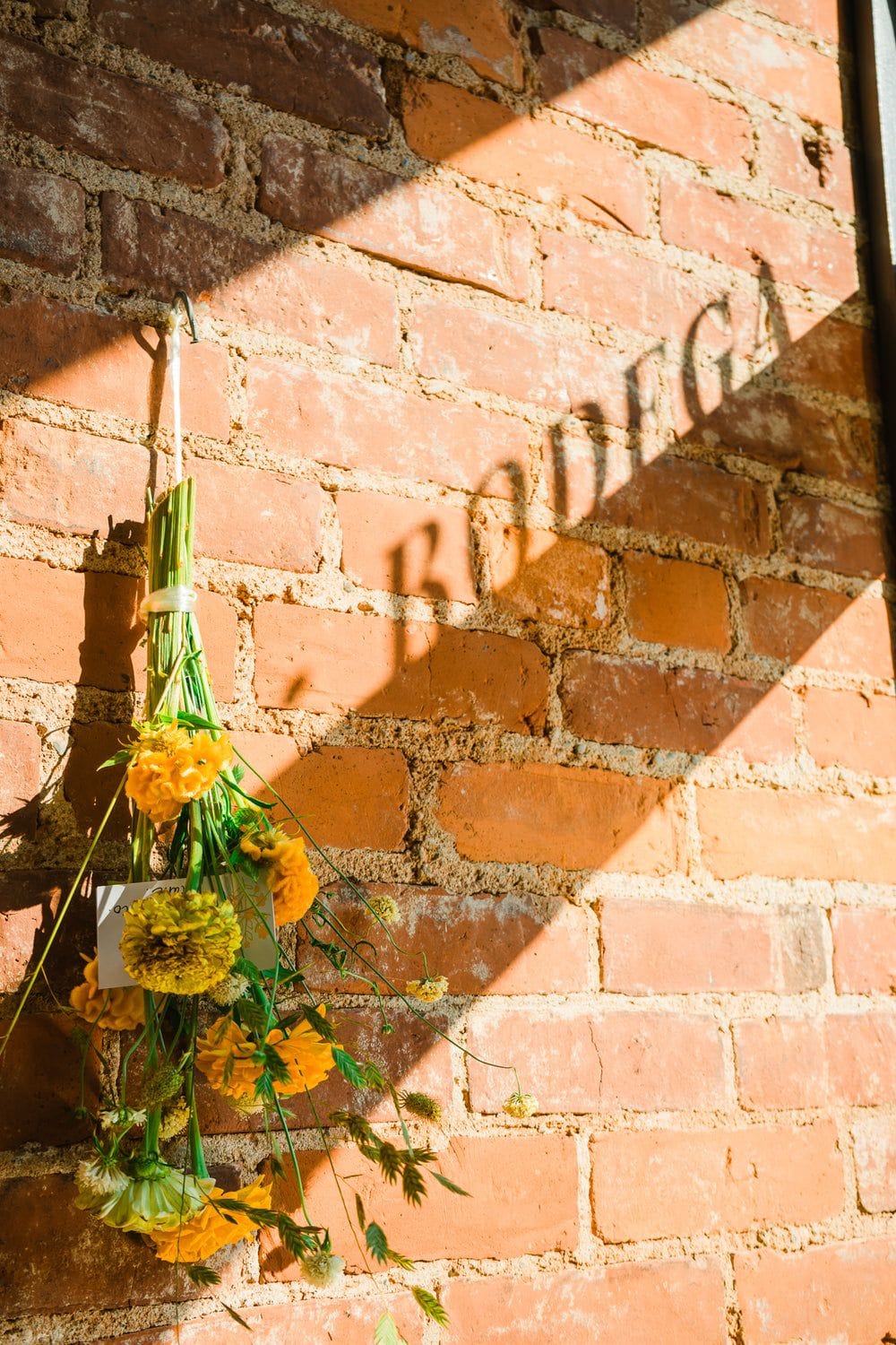 Daylily Deli