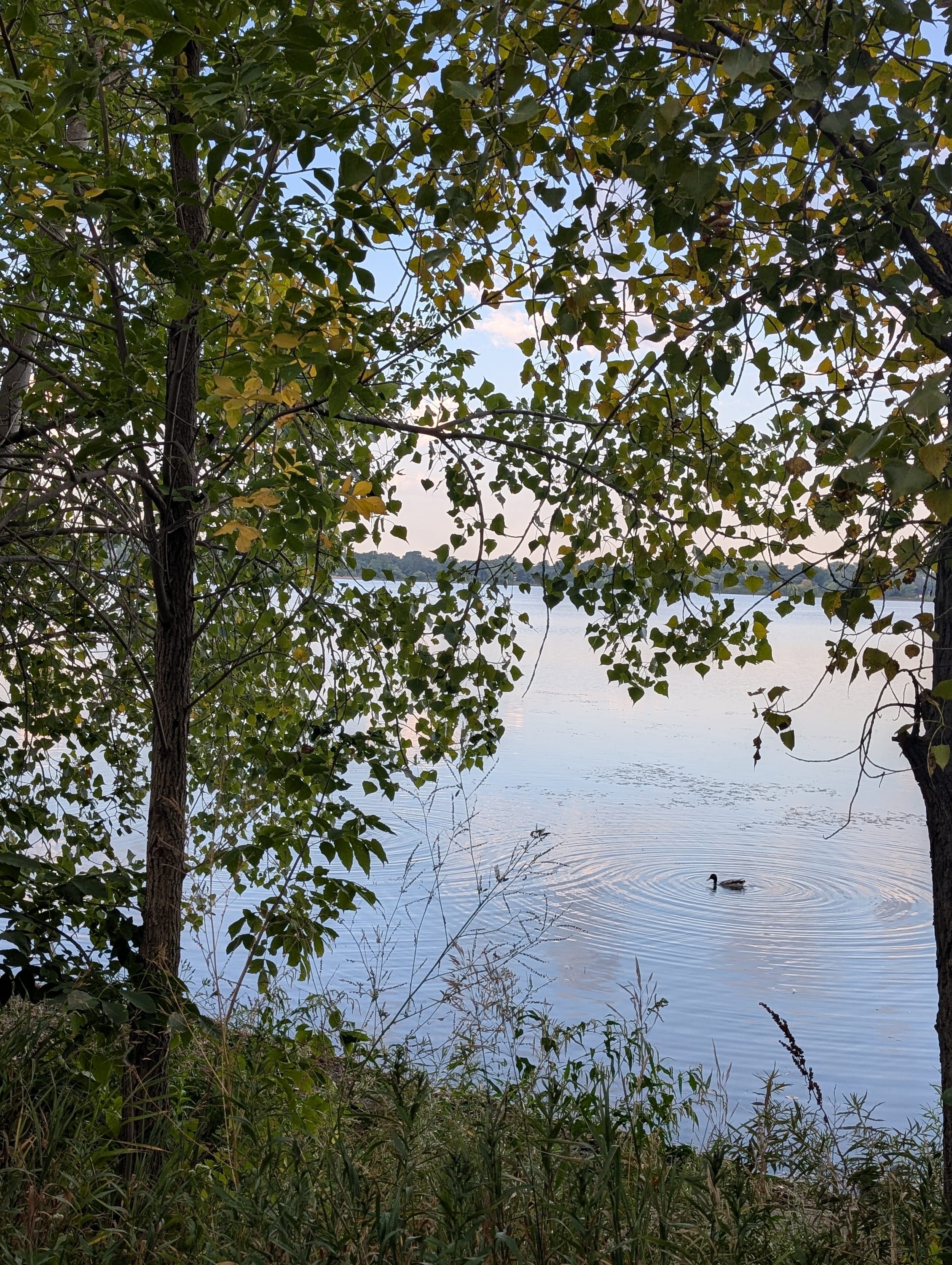 Morning walk
