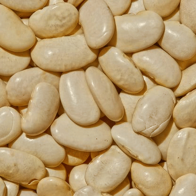 Regenerative Organic Certified Gigante Beans