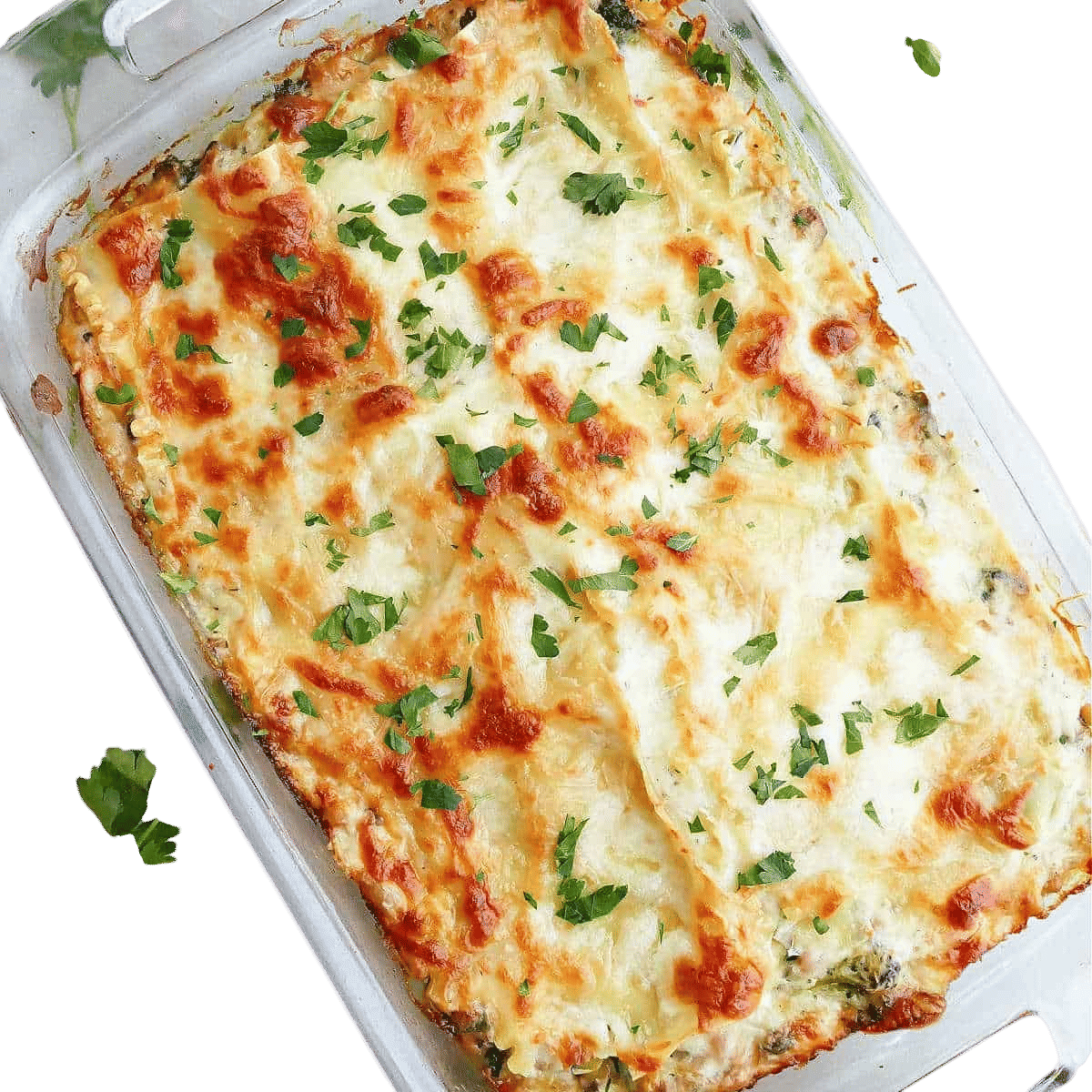 Ultimate Vegetable Lasagna Recipe