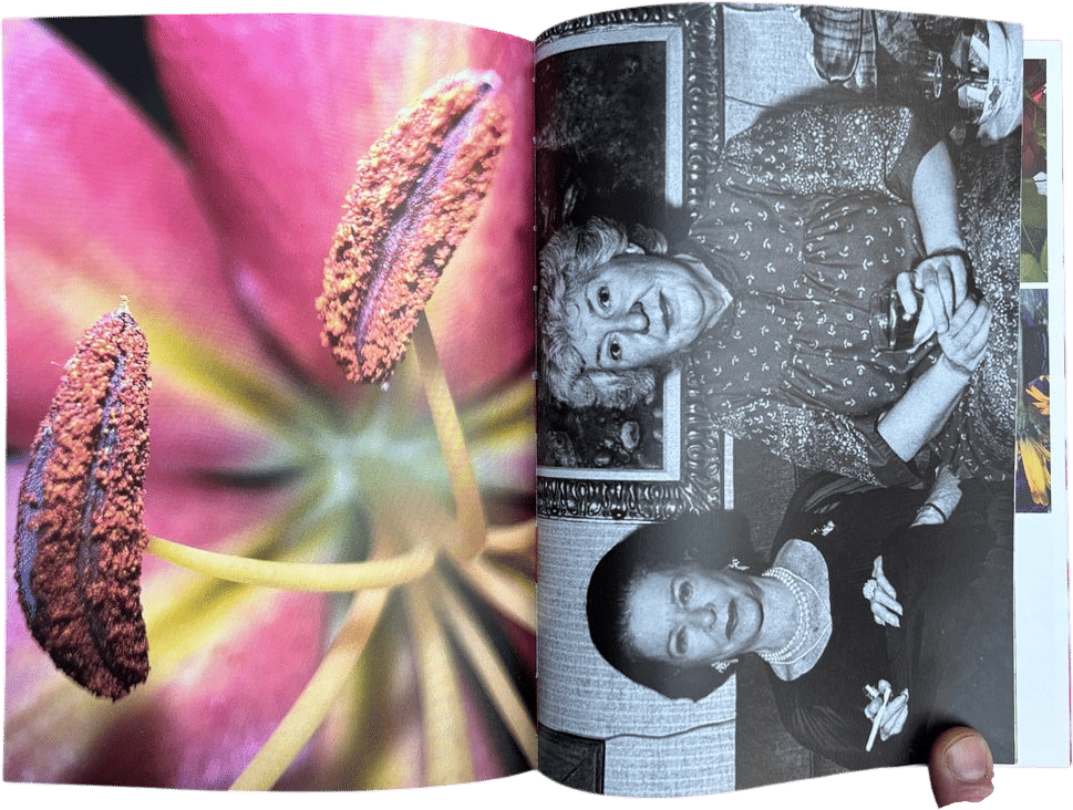 What if Jeff were a Butterfly?