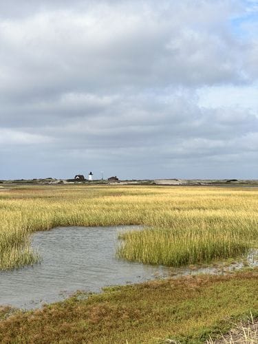 Race Point Beach