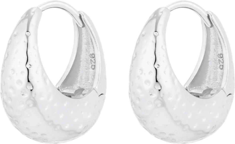 Wynn Silver Earrings