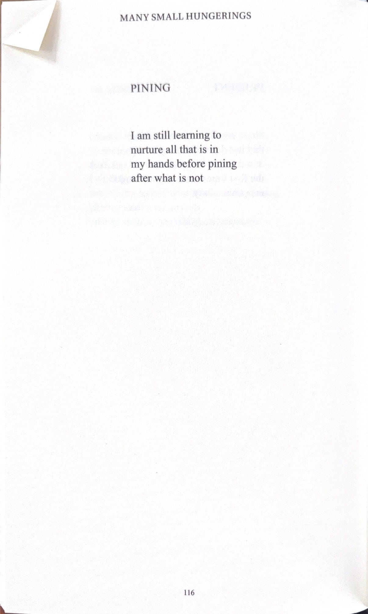 Fav poem from Many Small Hungerings by William Bortz
