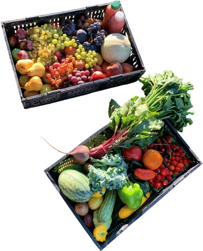Ojai Community Farmers' Market