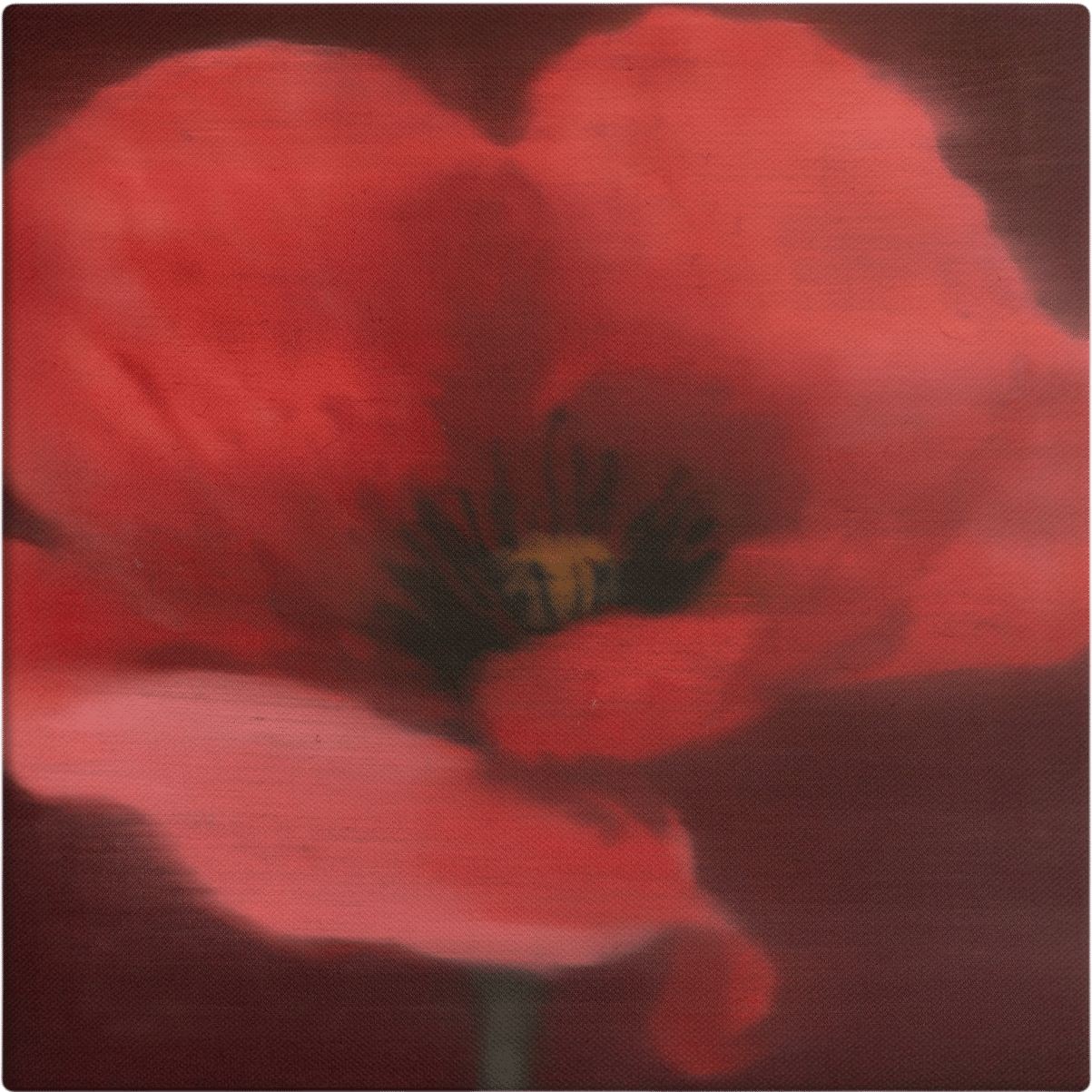Poppy Study #1 Print on Stretched Canvas (TAYLOR ANN MECKLEY)