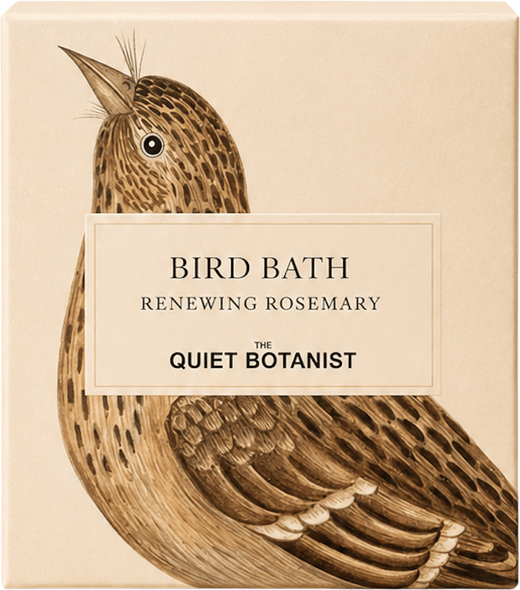 Bird Bath Hand Soap by The Quiet Botanist (Rosemary)