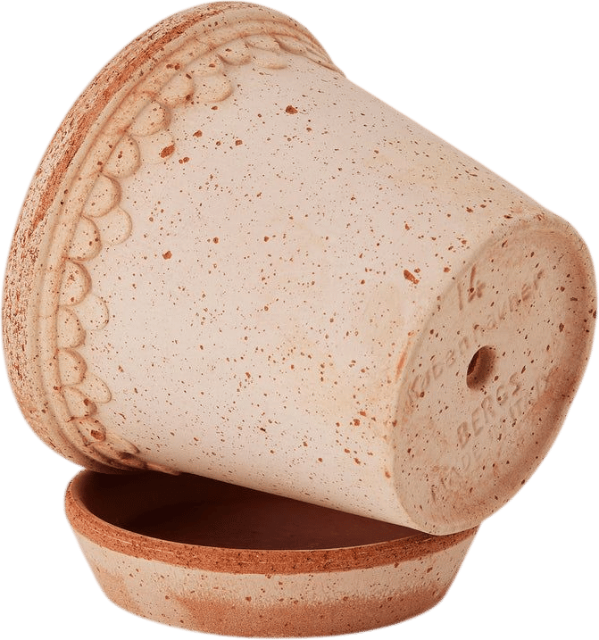 Pot