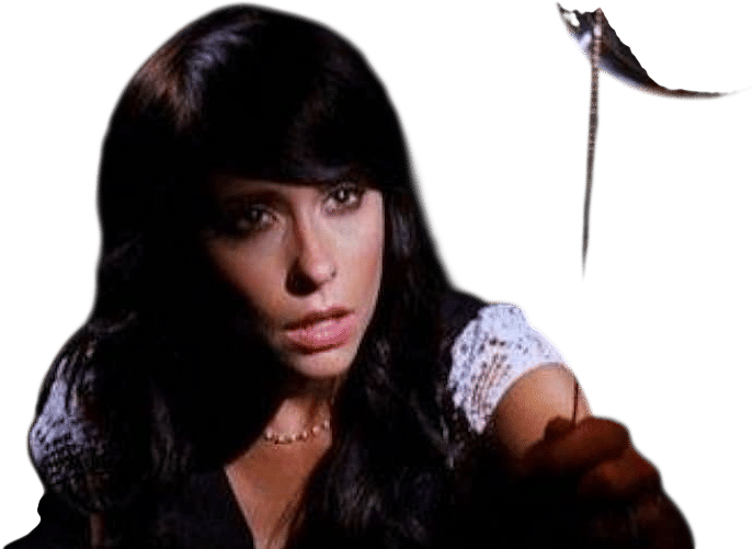 Ghost Whisperer (2005)