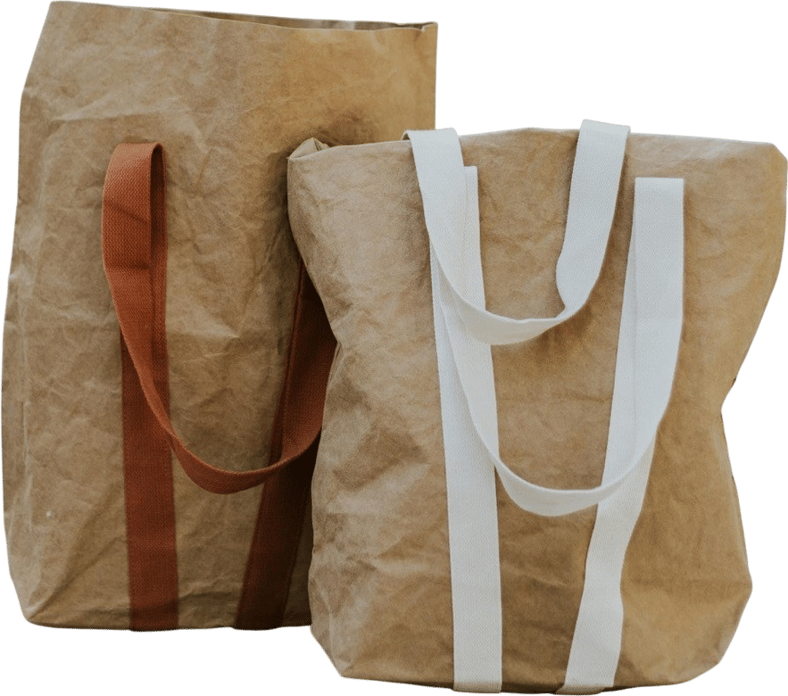 Trader Joe's Washable Paper Tote Bag