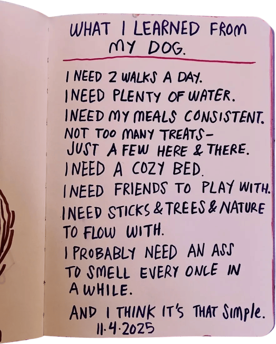 Lisa Hanawalt’s Brain