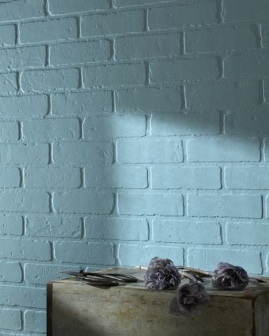 Daydream CSP-615 (Benjamin Moore)