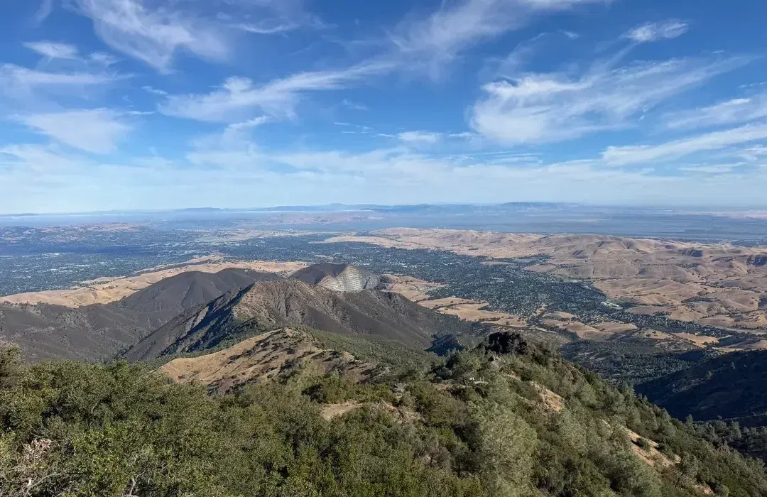tarantula hike