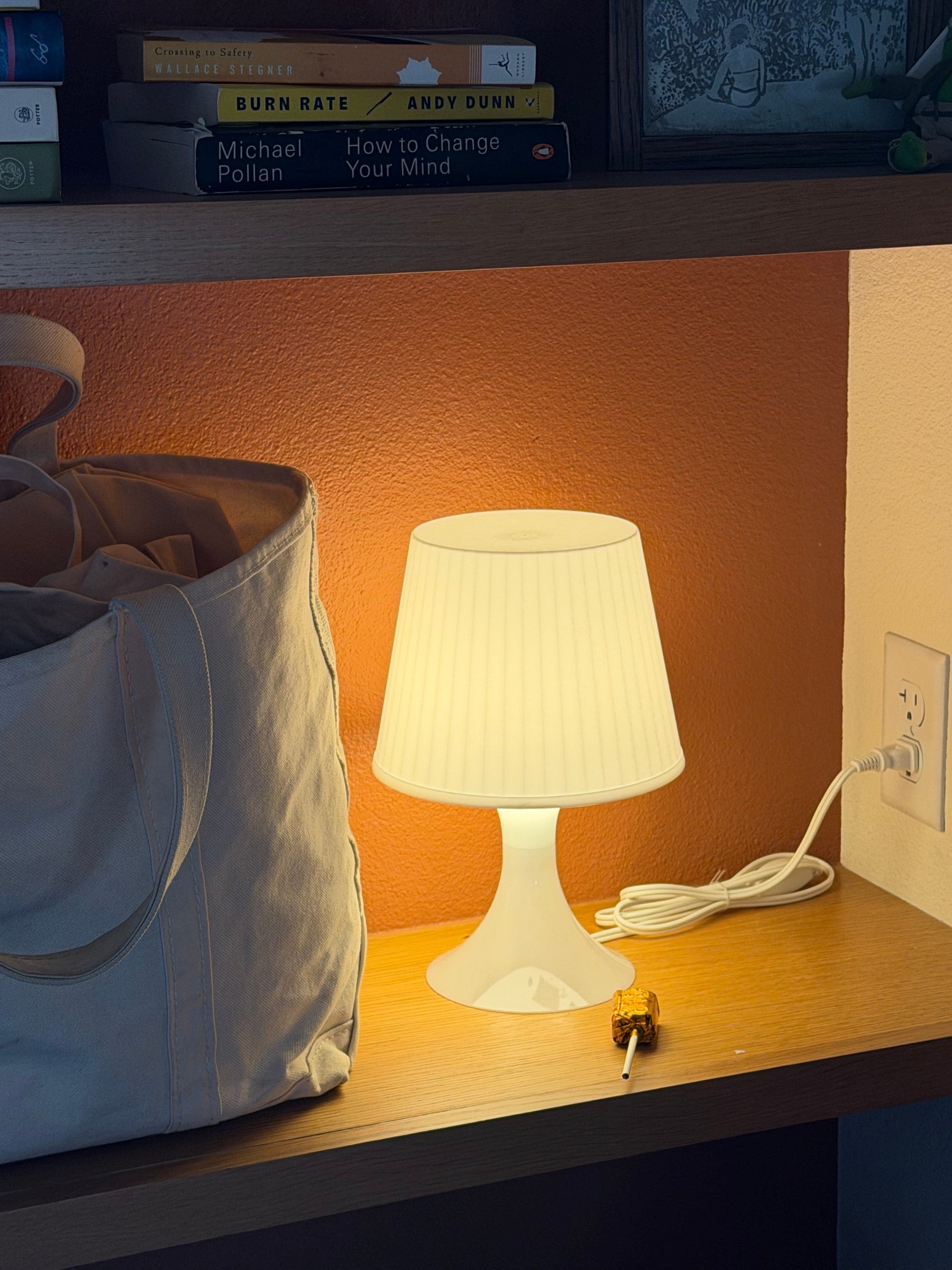 This ikea lamp I have 3