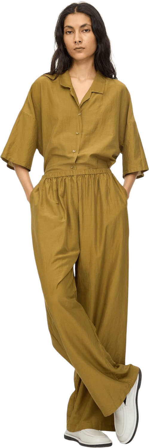 Black Crane Straight Pants in Dark Olive