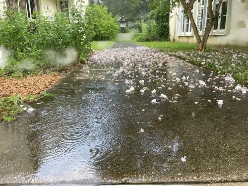 Petrichor