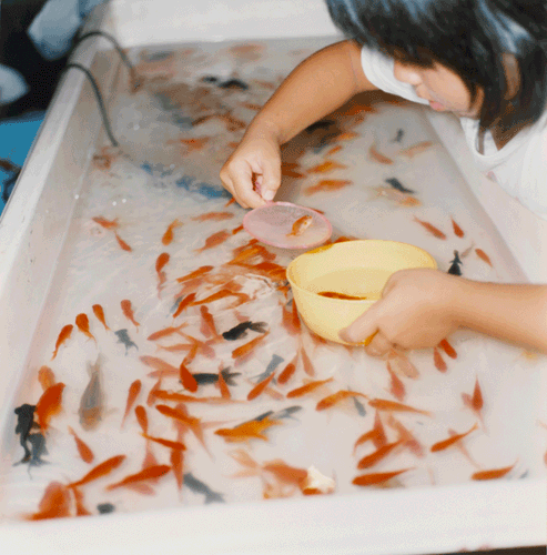 Rinko Kawauchi