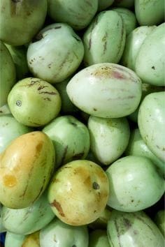 Unripe Pepino Melon