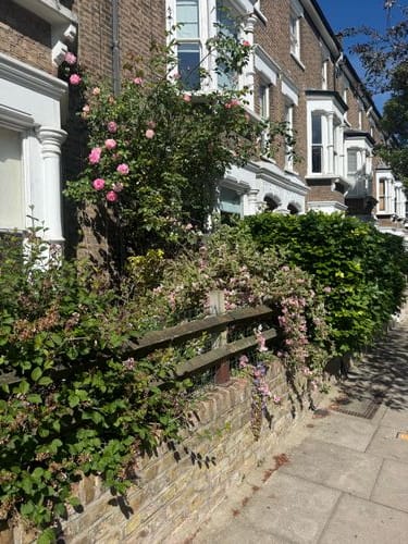in front of peoples homes