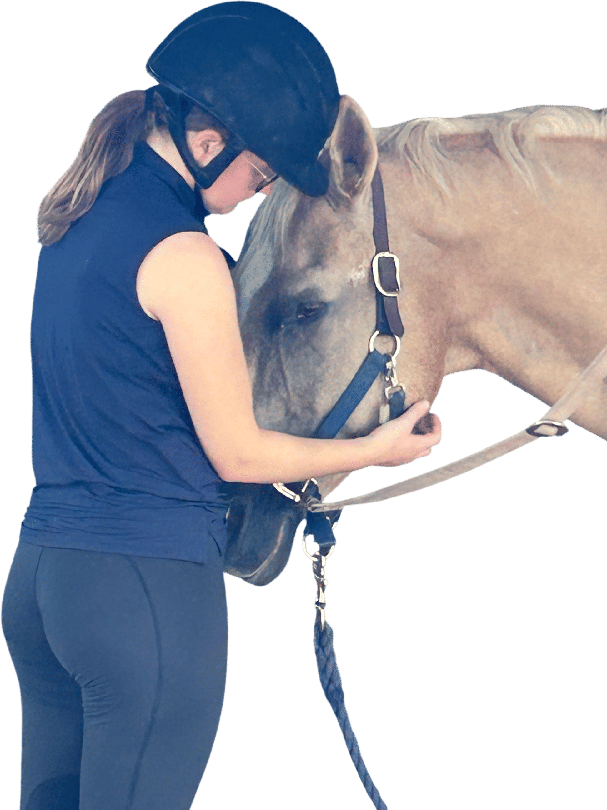 holding your horses
