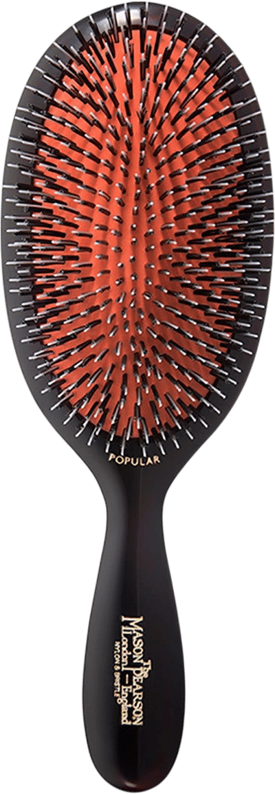 Handy Mixture Bristle & Nylon Hairbrush