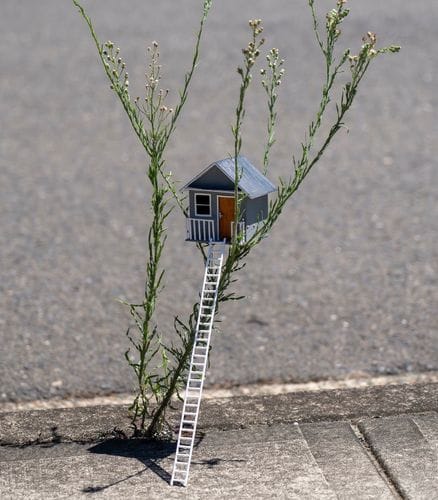 Public Artist - Michael Pederson