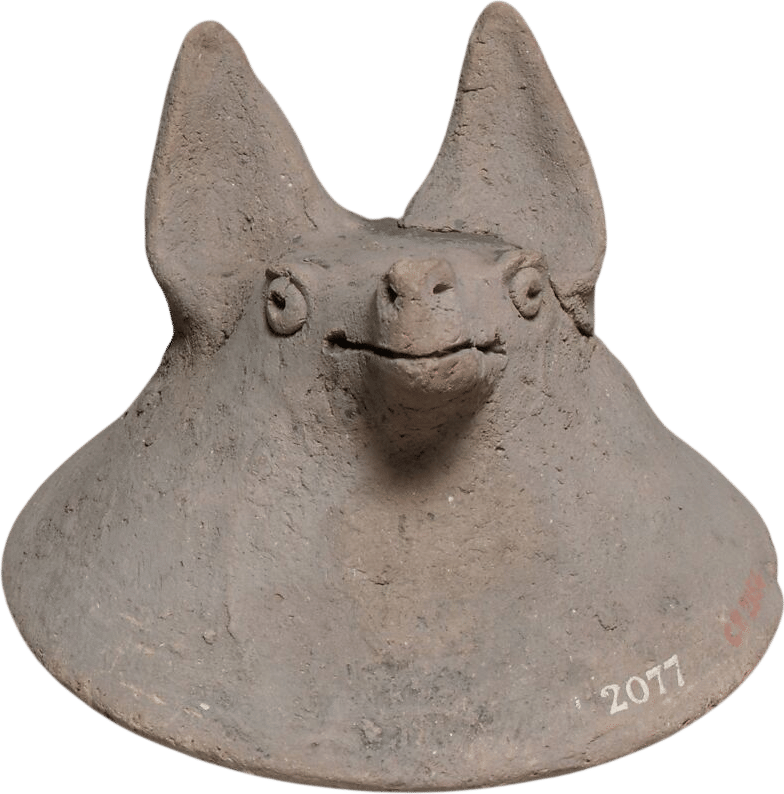 fox, dog, or bat
