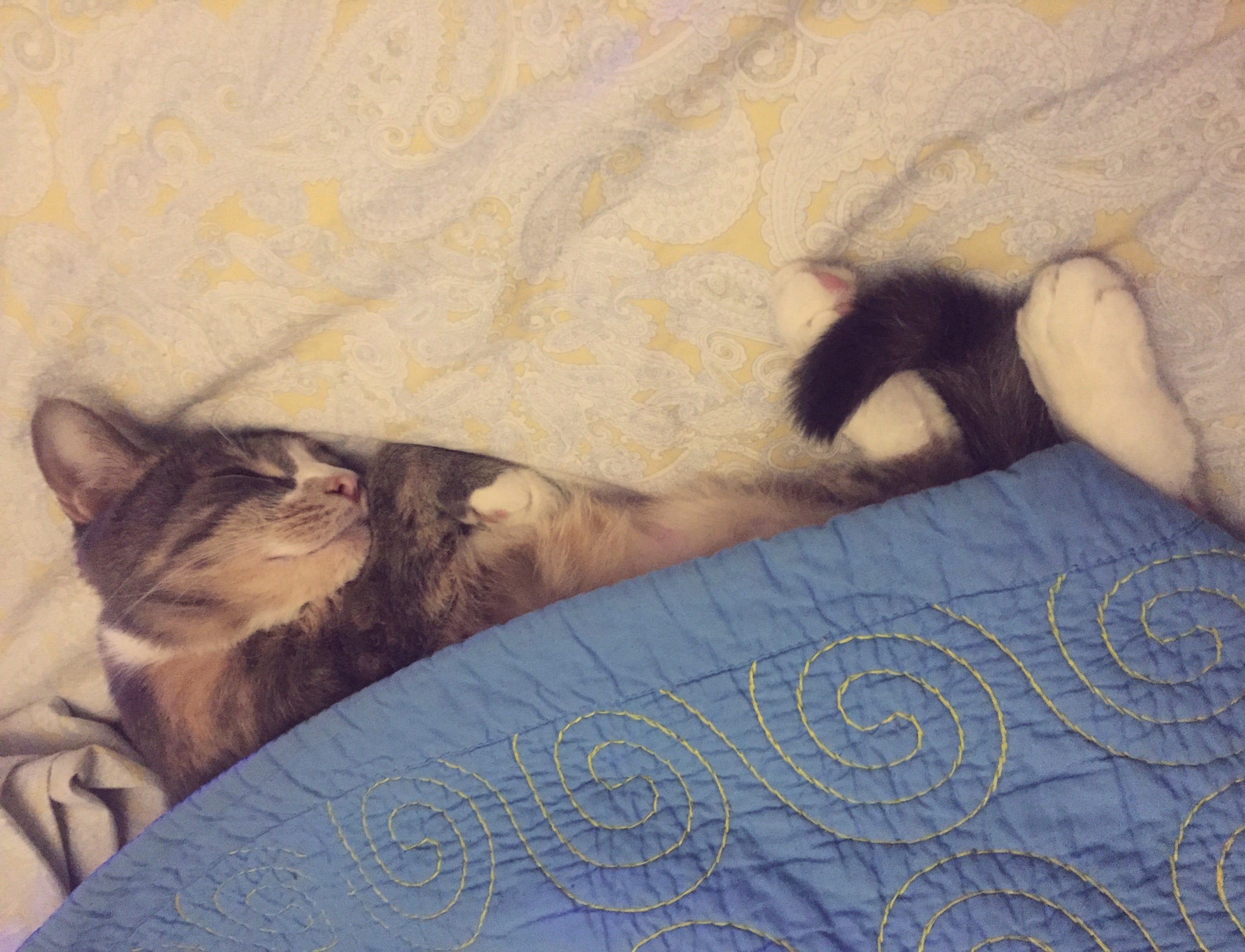Bedtime routine before you get sleepy