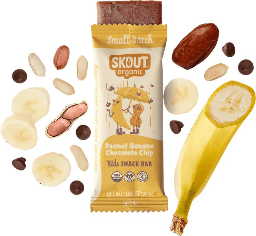 Skout Organic Kids Bar