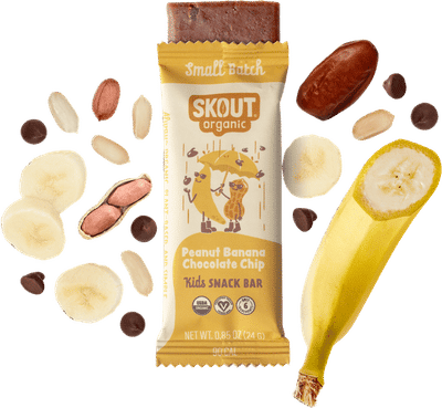 Skout Organic Kids Bar