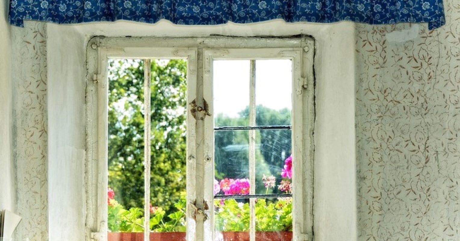 Looking out the Window