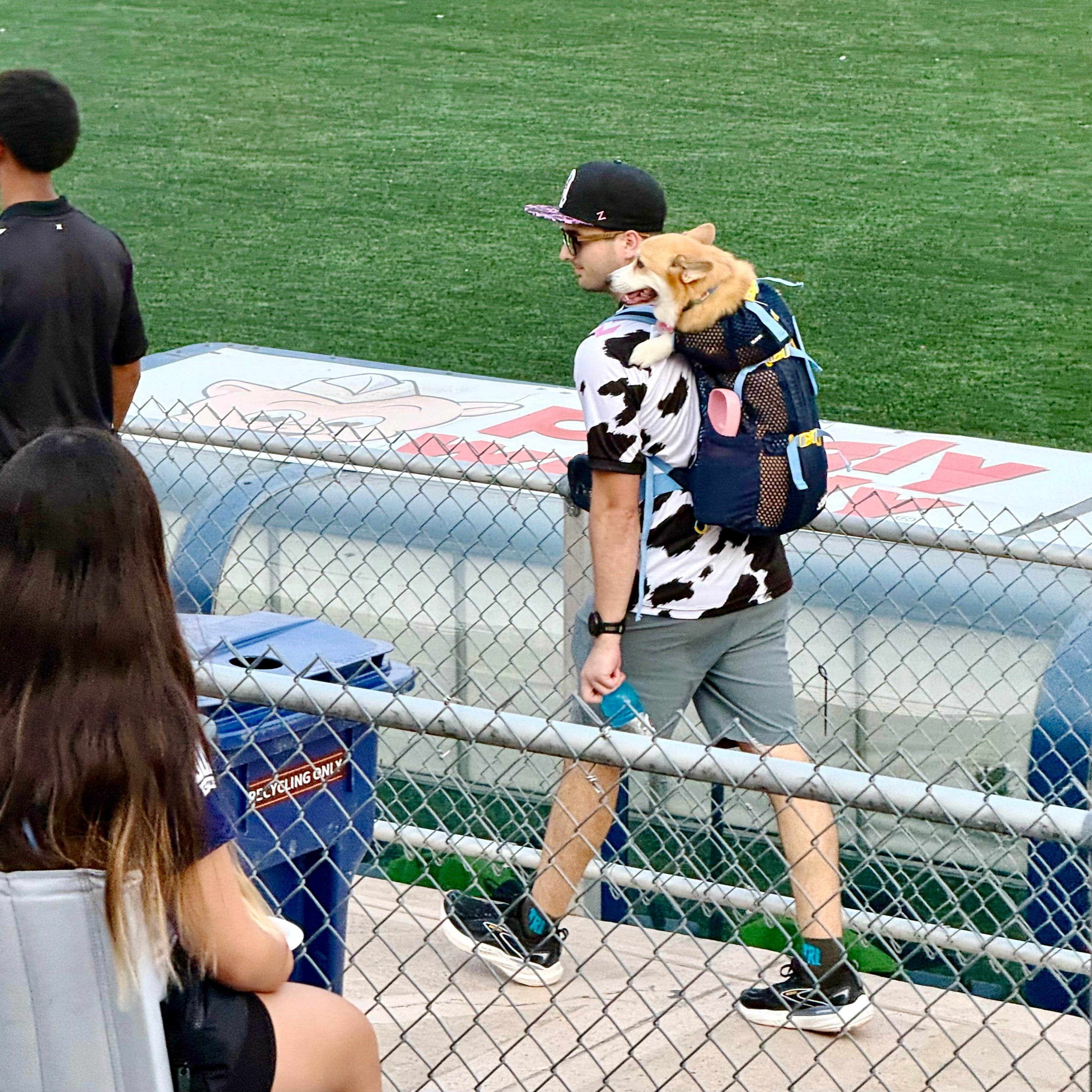 Treating your dog to a local pro soccer game