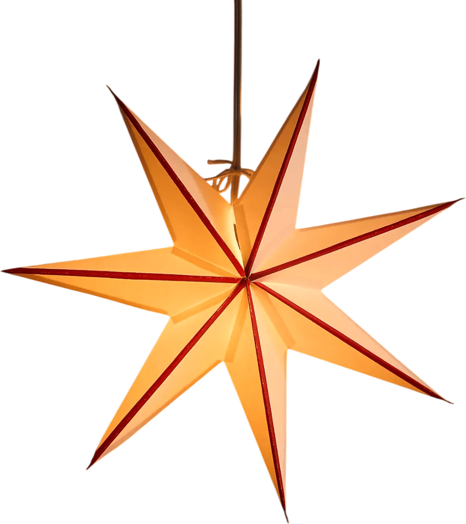 Terrain Paper Star Pendant Light