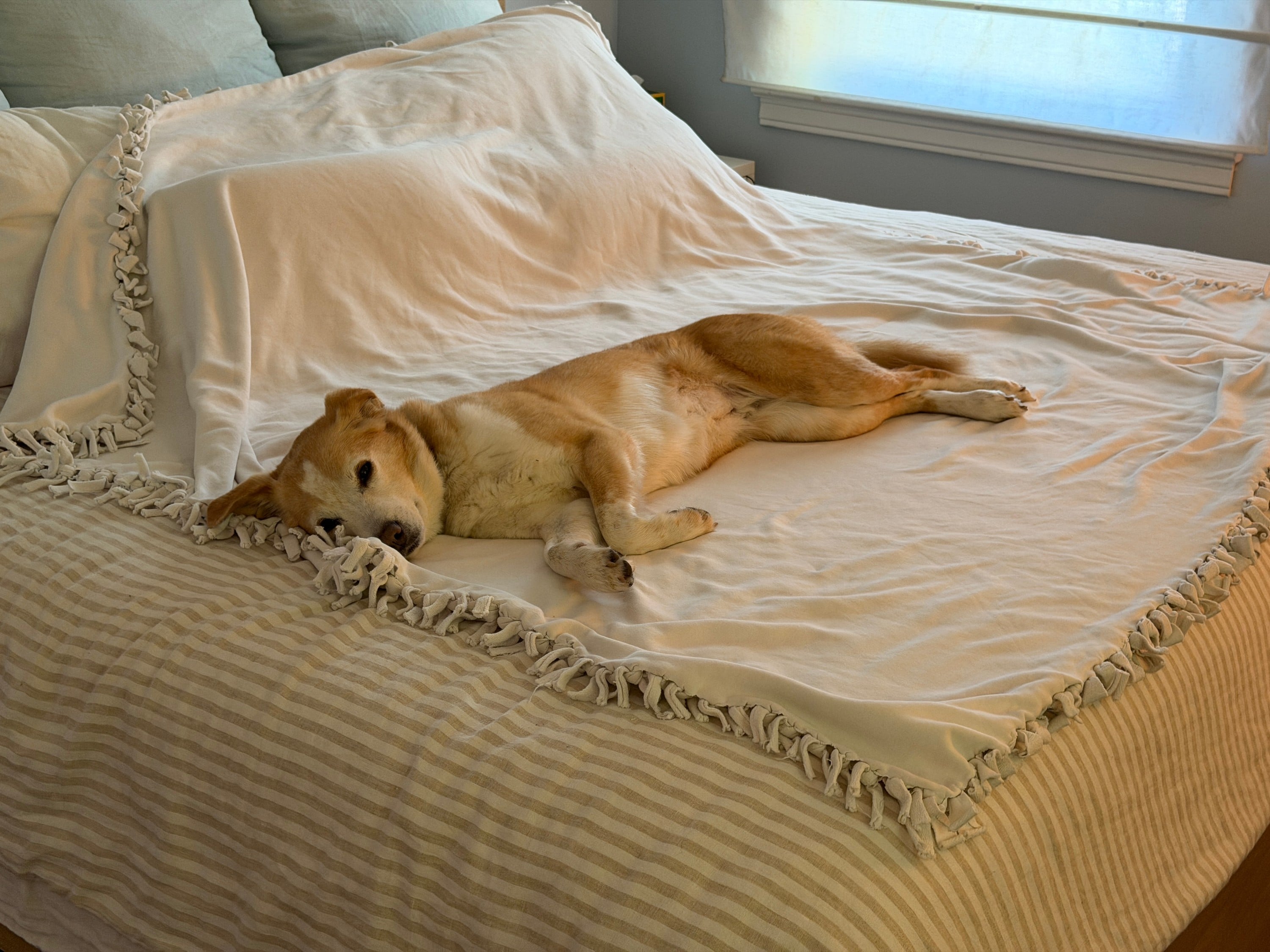 DIY No Sew Tie Blanket