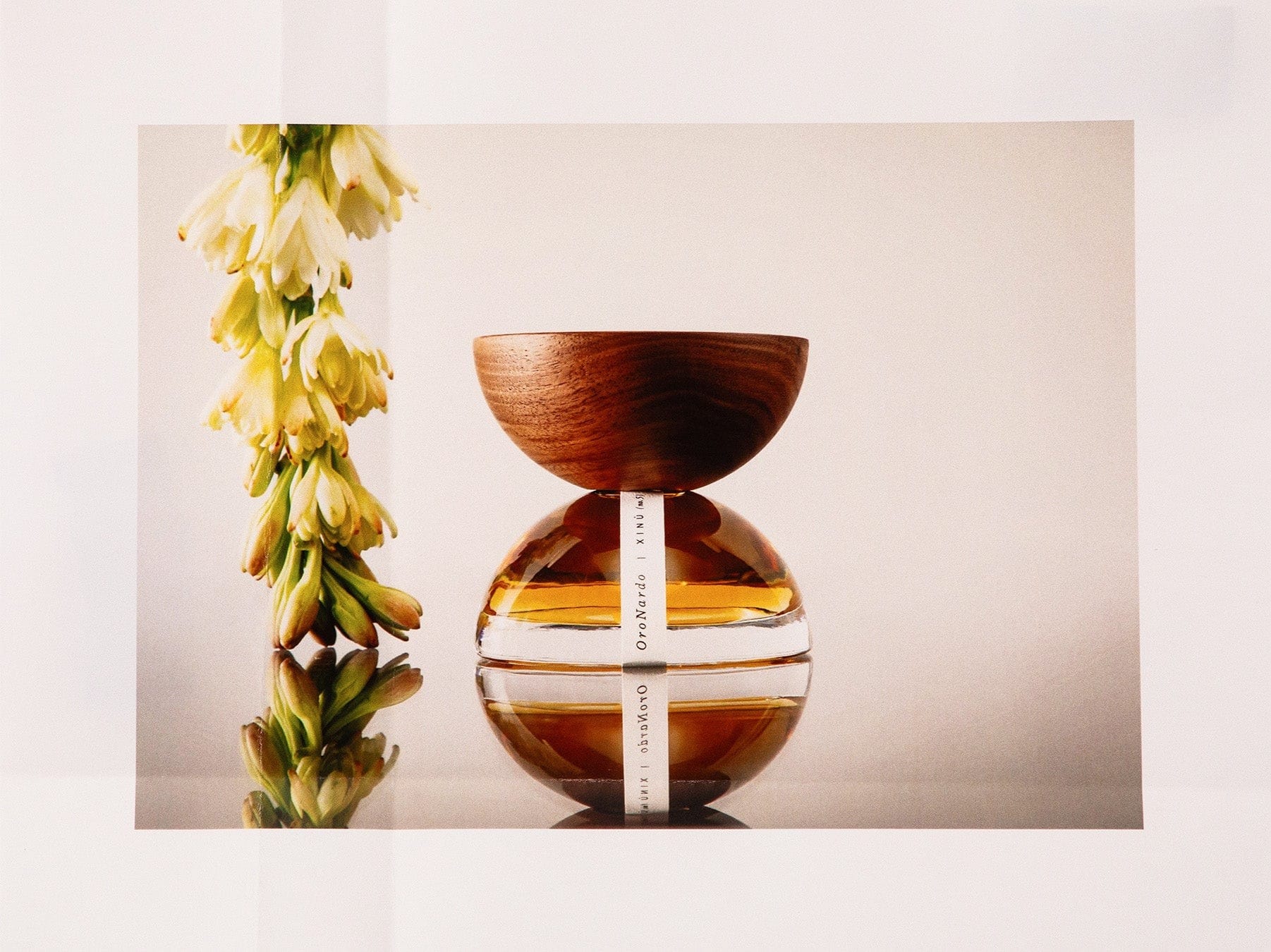 OroNardo | Xinū | Mexico