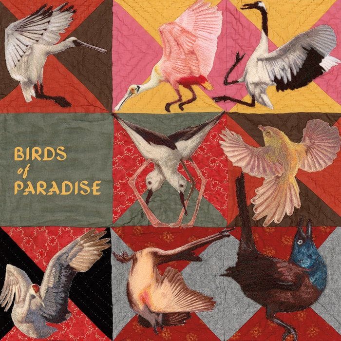 Birds of Paradise, Thomas Dollbaum