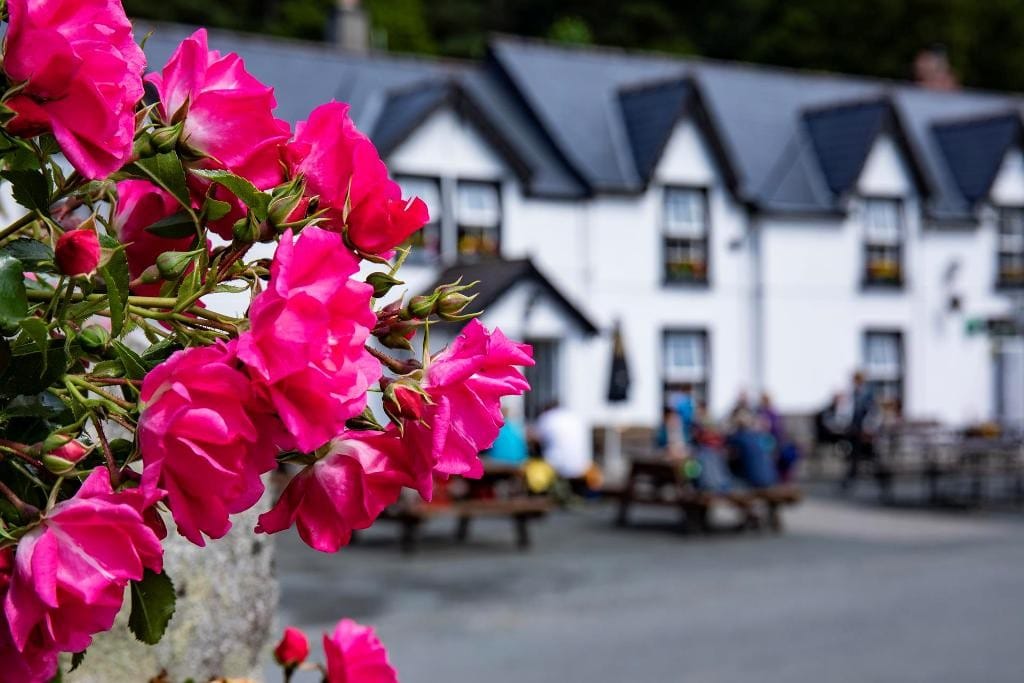 Glenmalure Lodge