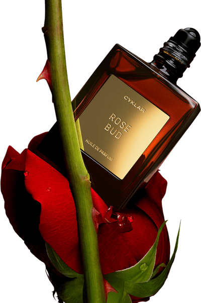 Rose Bud Perfume Oil