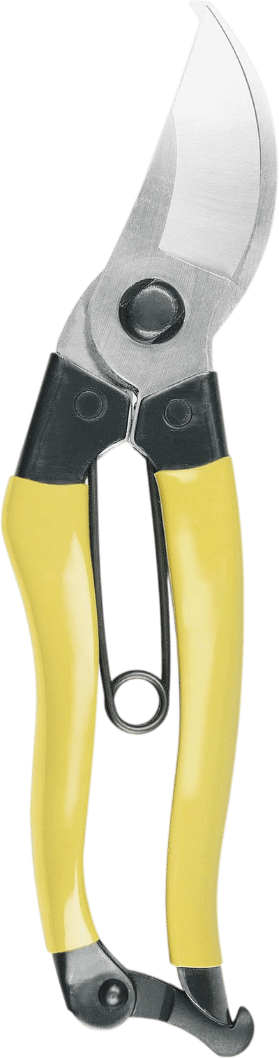 Mainichi Pruners