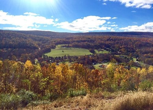 PA/NJ recs/ childhood nostalgia included