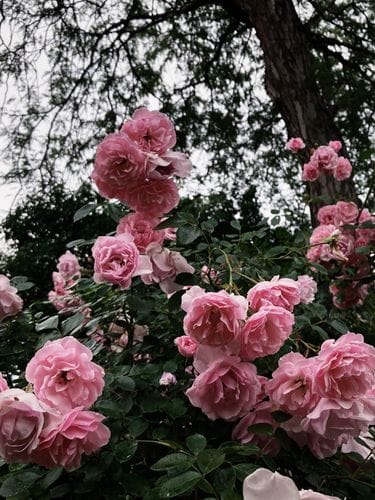 a summer playlist for you