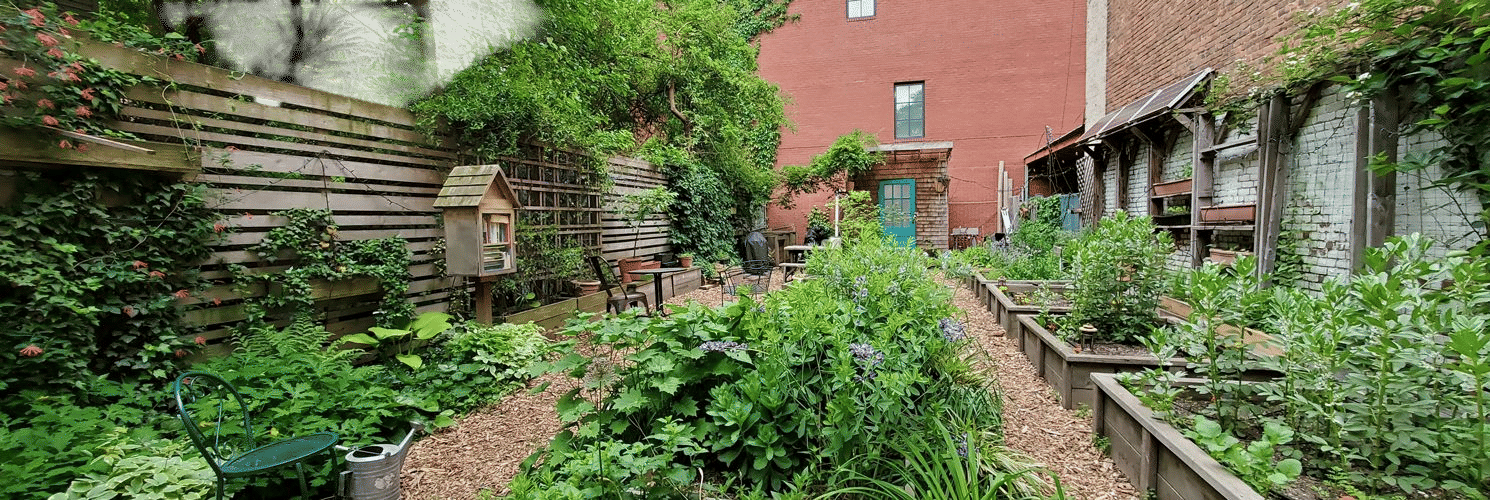 volunteering at a local community garden