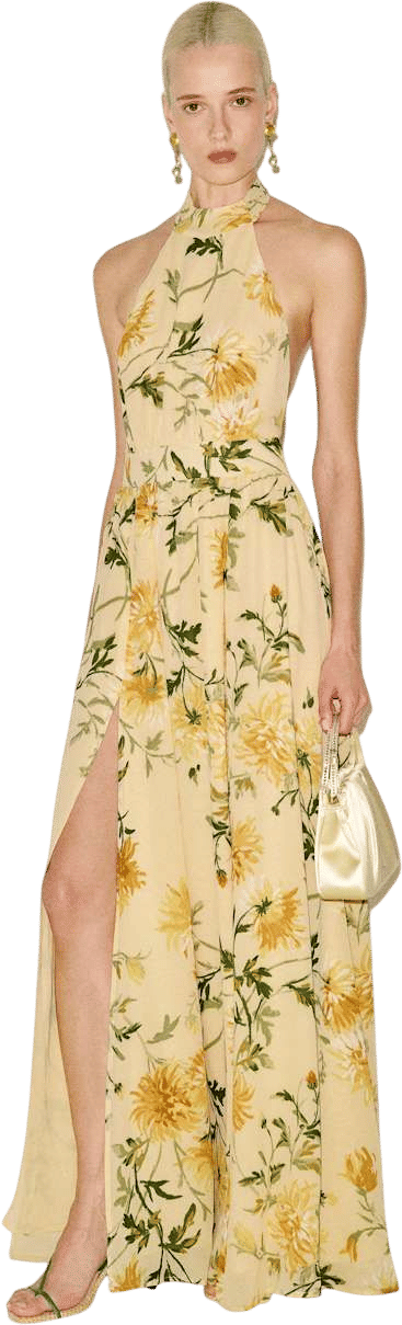 Reformation Andee Dress